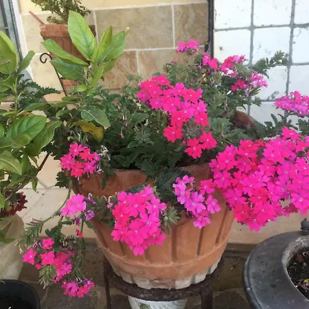 Liliana Casa vacanze *